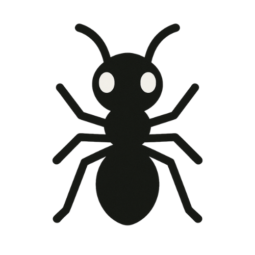 Progetto senza titolo (6)